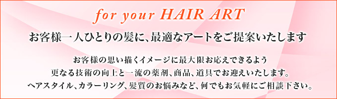ヘアアートは お客様一人ひとりの髪に、最適なアートをご提案いたします。